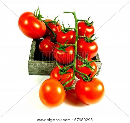 tomatoes