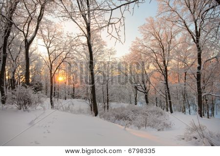Sunset Toila-Orun puisto.