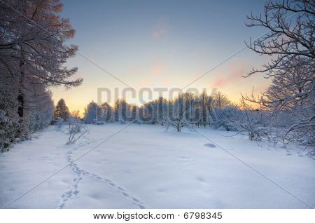 Sunset Toila-Orun puisto.