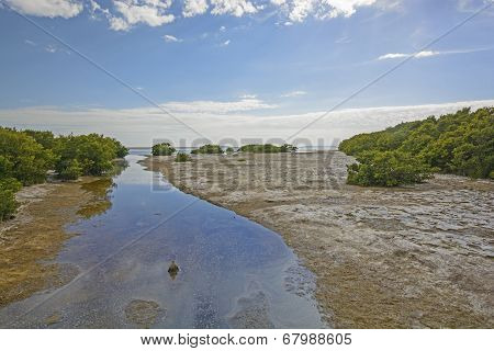 Sub-tropical Stream Entering Into An Ocean Bay At Low Tide