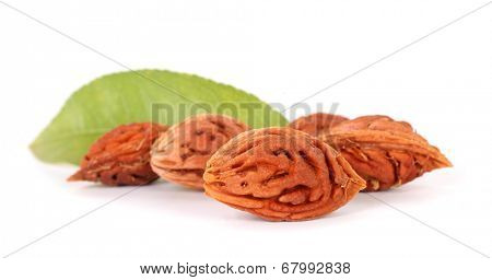 Peach stones seeds