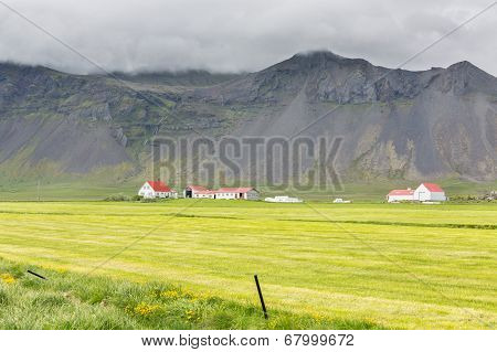 Farms and Mountains in Iceland