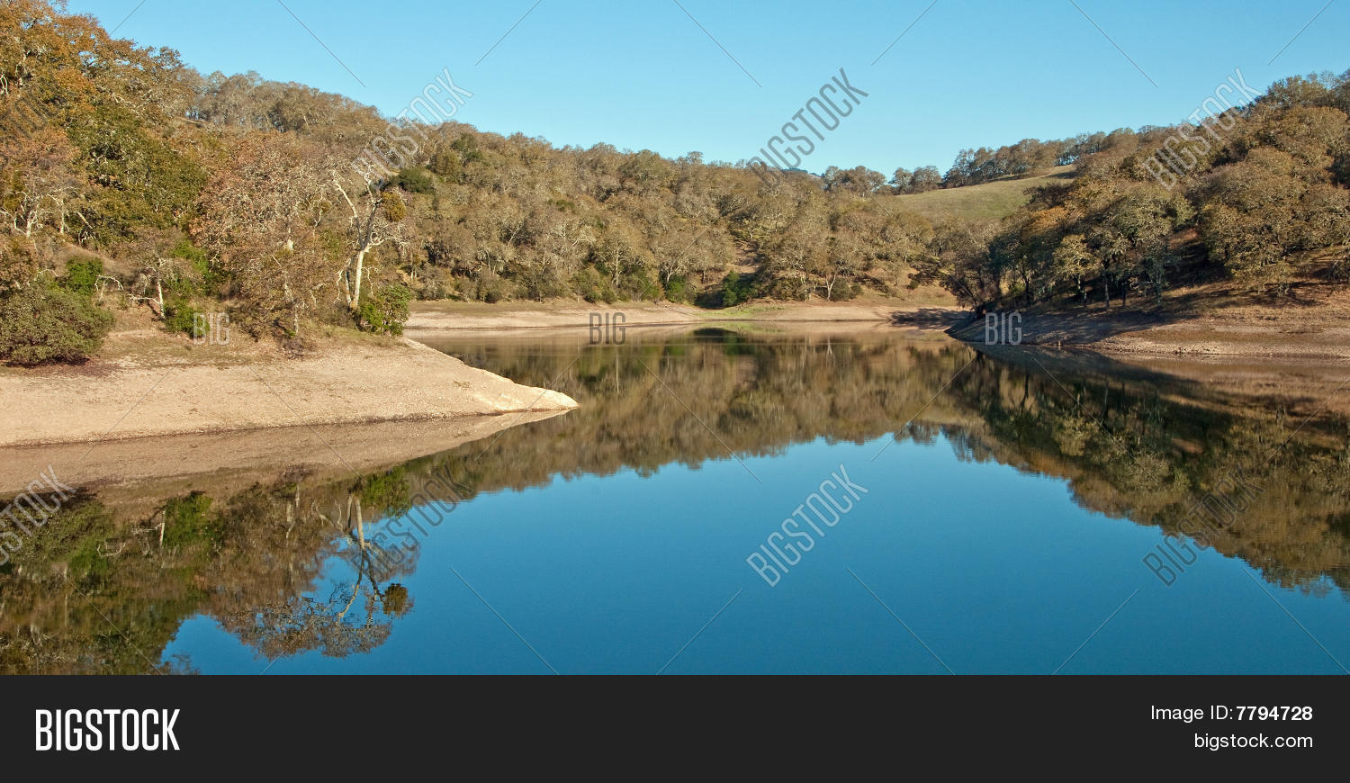 Image Preview