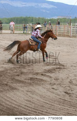 Leggazdagabb indiai Rodeo