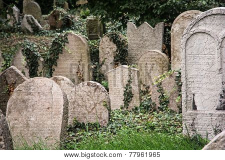 Jewish Cemetery In Prague