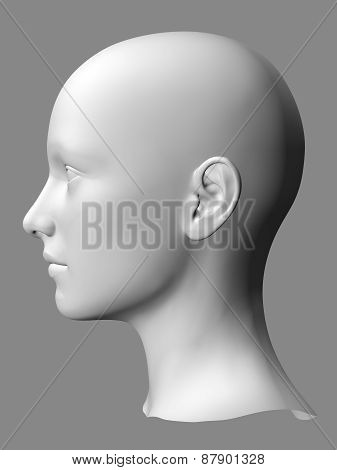 Woman Head
