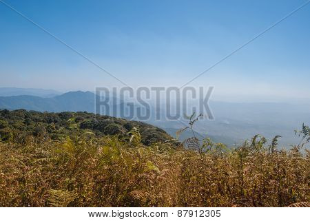 View Point On The Mountain Beautiful Nature  For Travel Adventure Way Footpath Only