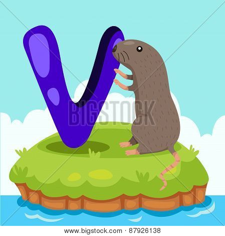 Illustrator of Letter 'V is for vole'