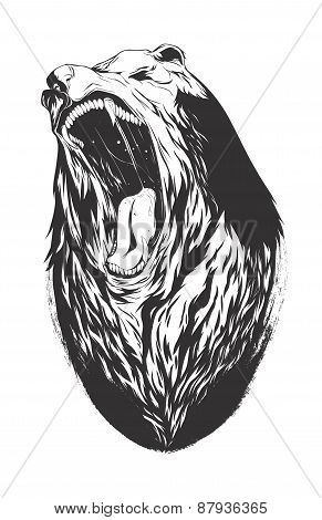 Vector Illustration With Bear Head