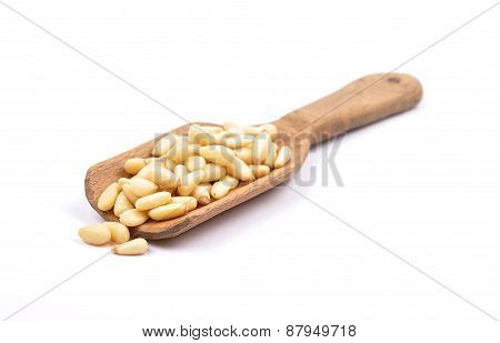 Pine Nuts On White
