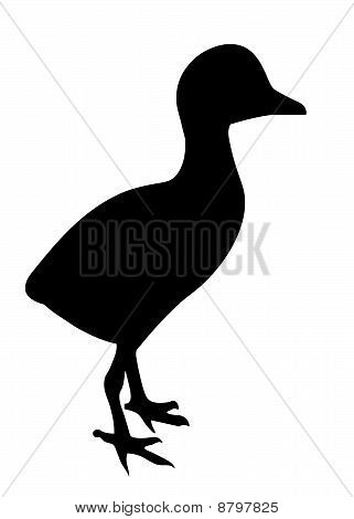 vector illustration nestling crane on white background