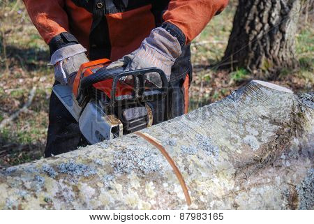 Chainsawing A Tree Trunk
