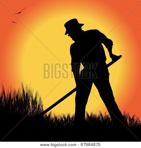 farmer in a wheat field
