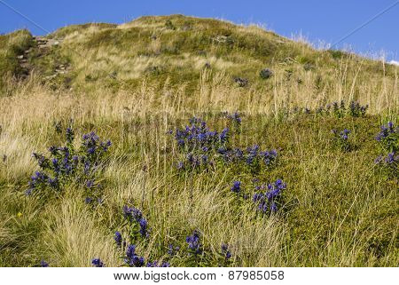 Hills Of Bieszczady Mountains
