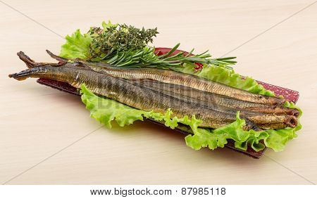Lamprey