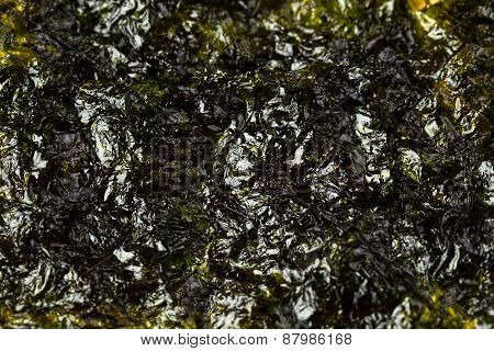 Laver seaweed sheet roasted isolated with white background