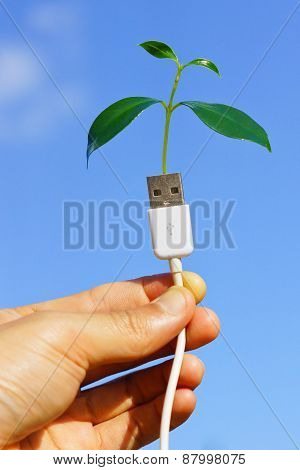handing holding a tree growing on a usb cable / green IT / go green