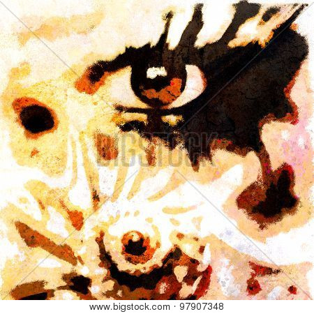 women eye beaming. color rust effect. painting collage and  Abstract  sea shell.