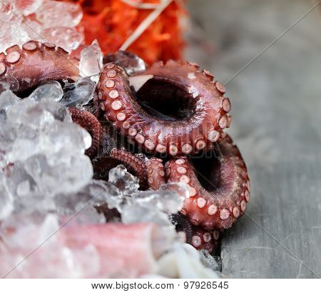 Octopus Are On Ice