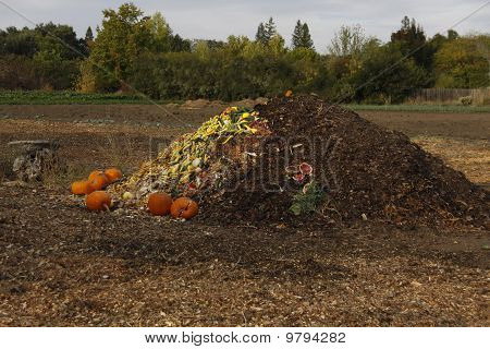 Harvest Compost Pile