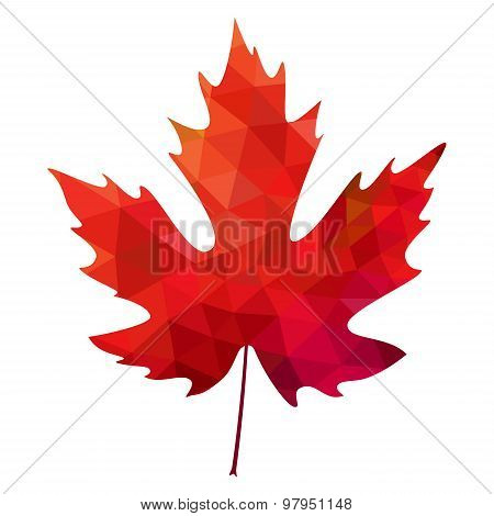 vector polygonal red mapple leaf on white background