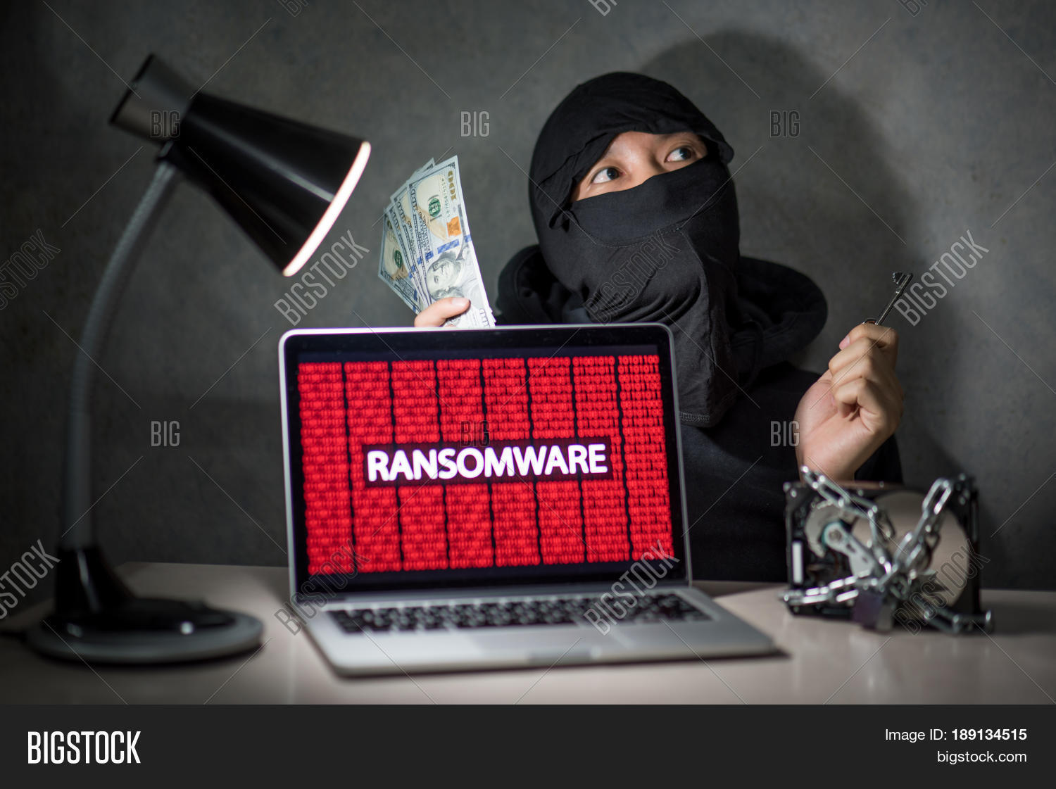 Hacker Holding Key Image & Photo (Free Trial) | Bigstock