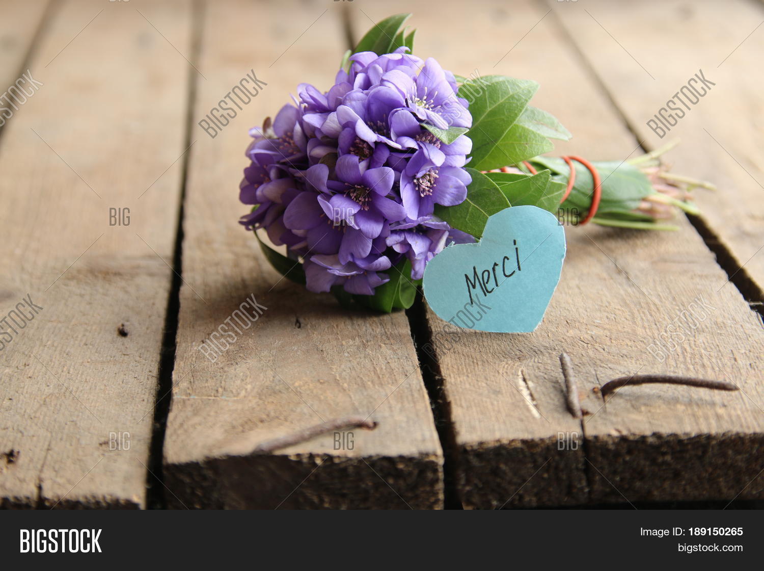 Merci Written On Tag Image Photo Free Trial Bigstock