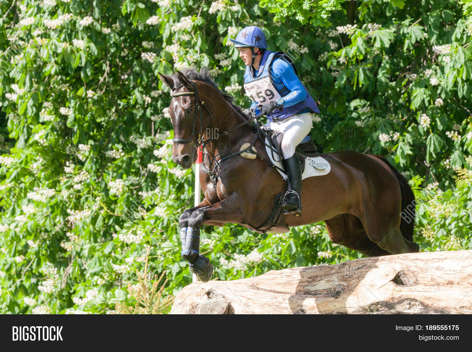 Houghton International Image & Photo (Free Trial) Bigstock