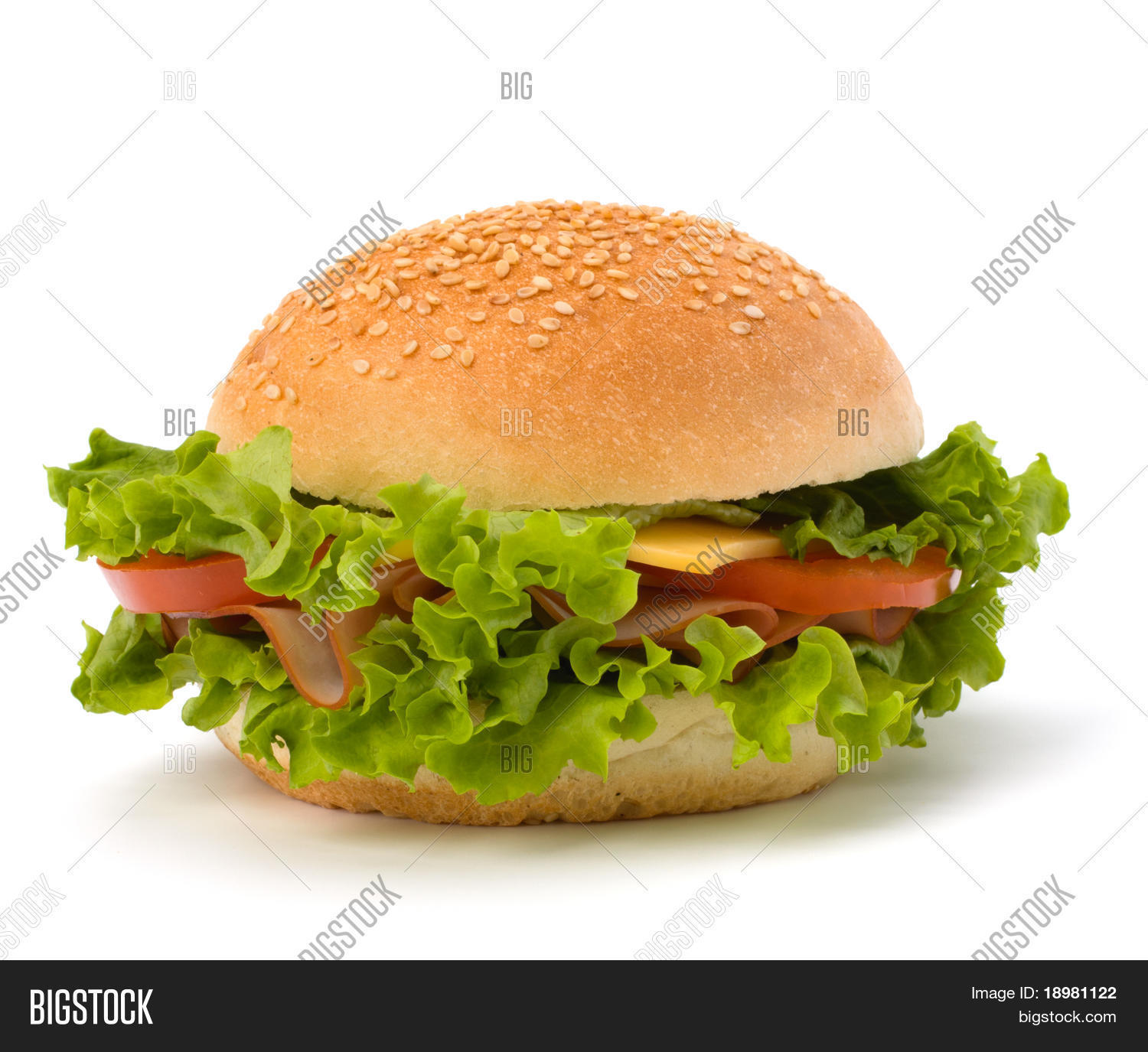 Big Appetizing Fast Image & Photo (Free Trial) | Bigstock