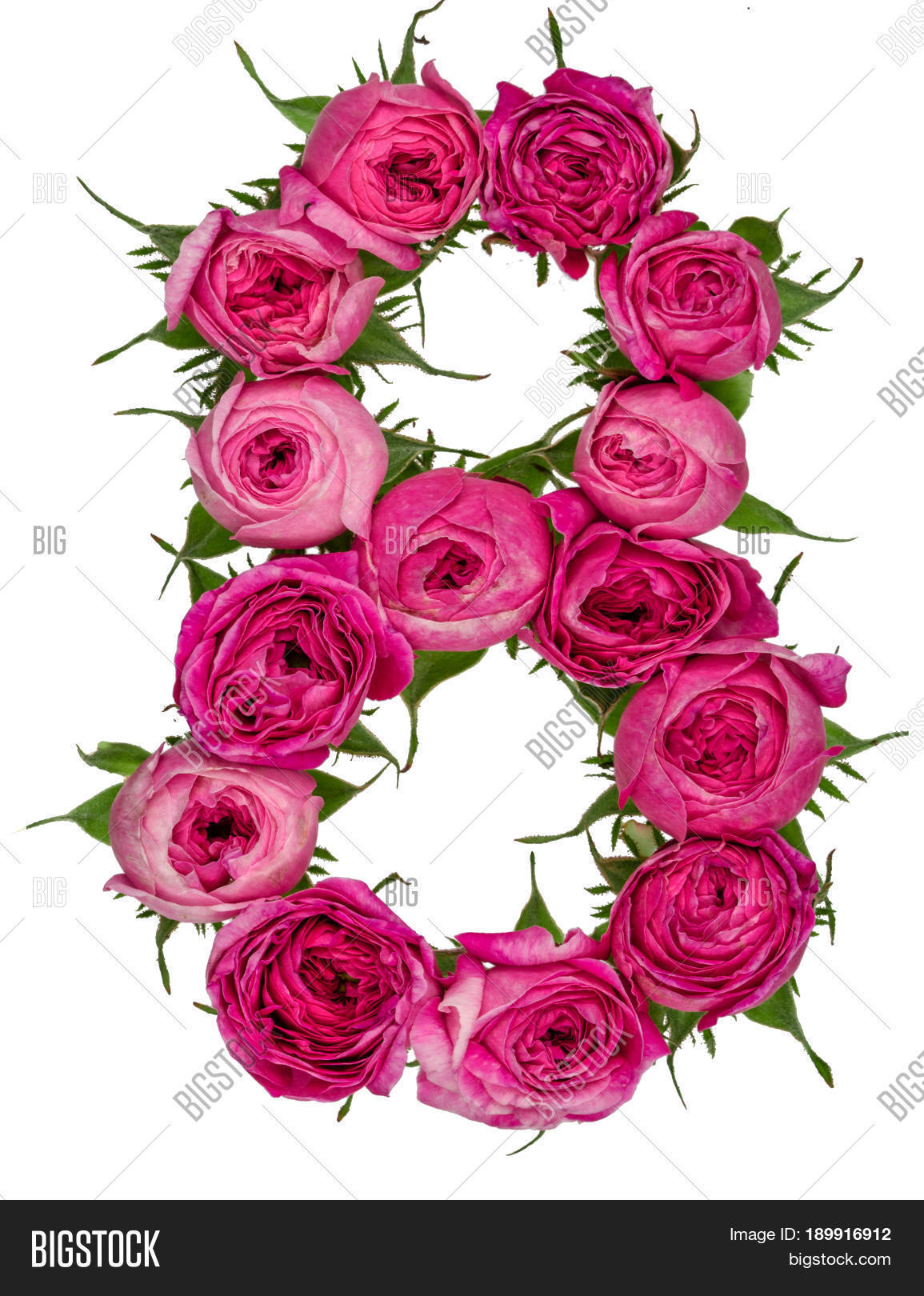 arabic numeral 8 eight from red flowers of rose