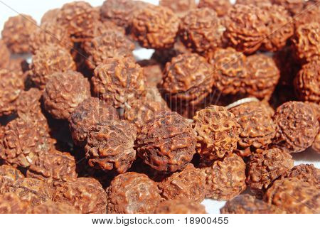 PERLINE indiane di Rudraksha