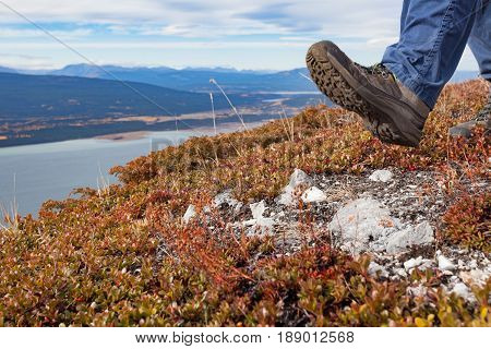 Hiking boot of Hiker hiking in alpine tundra high above Little Atlin Lake near Tagish Yukon Territory Canada