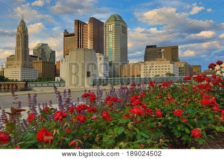Columbus, Ohio during golden hour with roses in the foreground