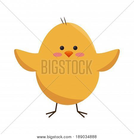 Little chicken cartoon icon vector illustration graphic design
