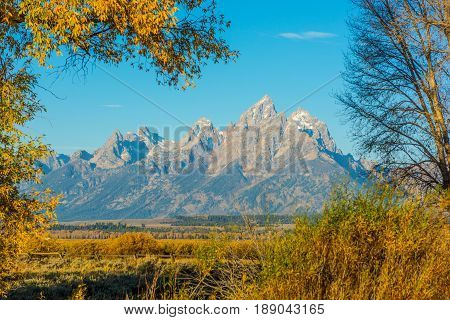 Grand Teton viewed across Snake River in Grand Tetons NP WY