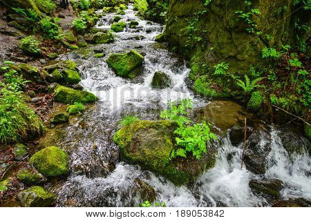 Oirase Gorge In Aomori, Northern Japan