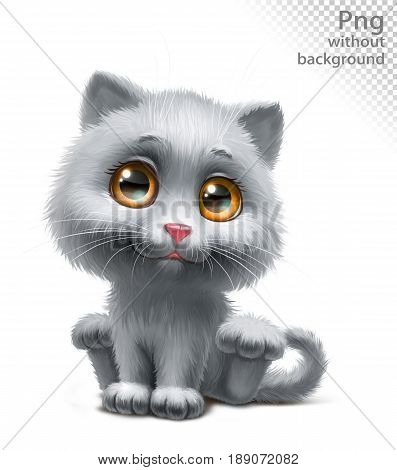 gray kitten sits, in full growth, png without background
