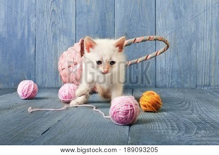 White funny kitten play with pink wool ball and straw basket. Playful small cat at blue wood background.