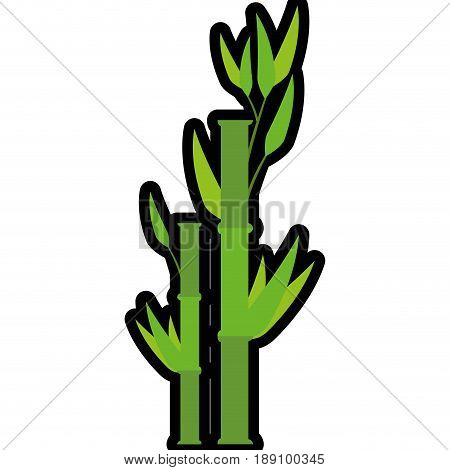 Bamboo japanese plant icon vector illustration graphic design