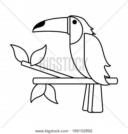 tucan draw illustration icon vector design graphic