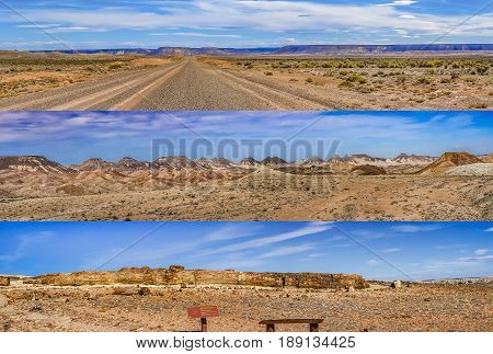 Petrified forest national park panoramic landscape collage Santa Cruz province Argentina
