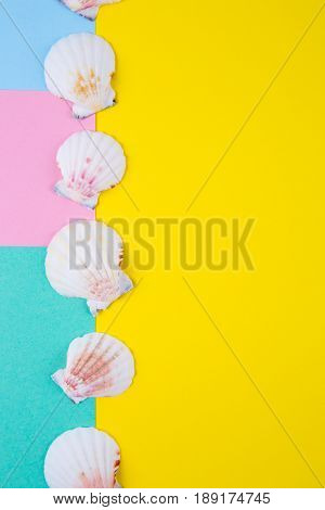 Sea Scallop Shells On Colored Backgrounds With Negative Space, Top View