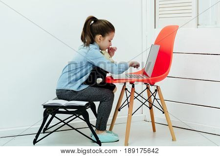 Childhood and technology Adorable small little girl with hair ponytail with cute teddy bear soft toy on knees sitting and typing on laptop computer on orange chair in white room at home.