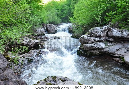Beautiful view of mountain river in summer, Old Mountain, Serbia. Wild river with a lot of cascade in green rain forest