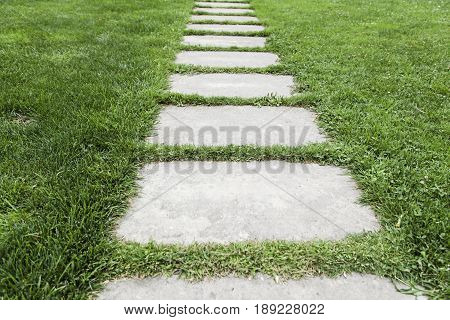 Stone Path In A Garden