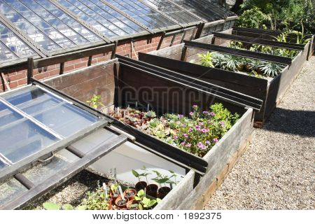 Poza Coldframes A szklarni