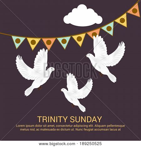 Trinity Sunday_30_mayl_01
