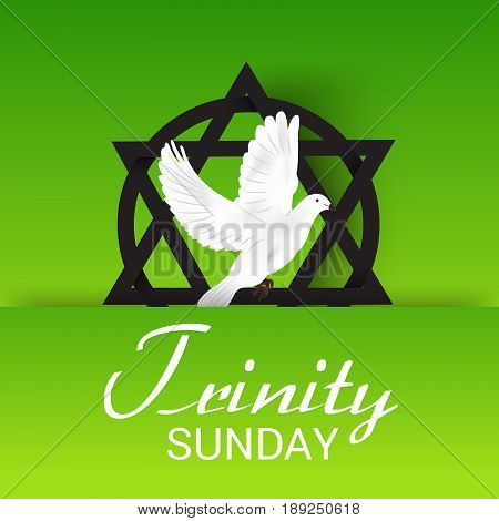 Trinity Sunday_30_mayl_10