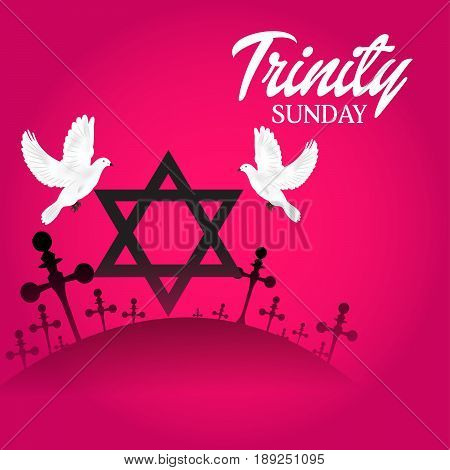 Trinity Sunday_30_mayl_11