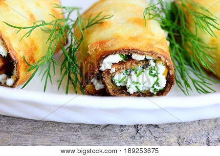 Stuffed zucchini rolls on a plate. Fried zucchini rolls with cottage cheese and dill. Deliscious vegetable appetizer recipe. Closeup